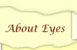 About Eyes Page